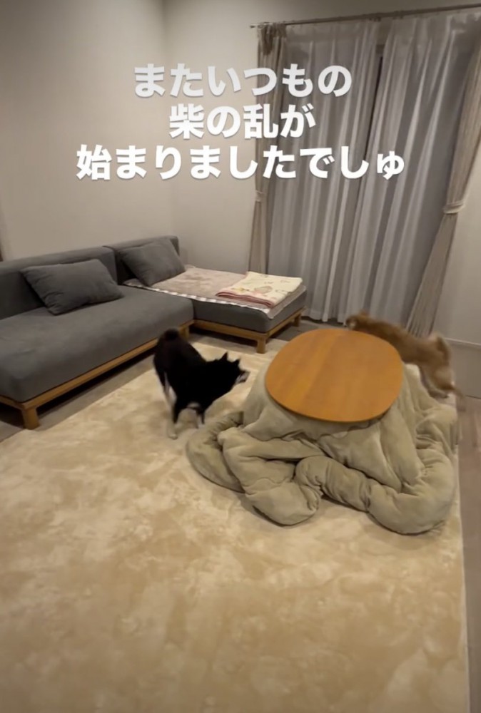 火蓋が切られた！