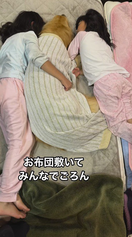 布団に寝転がる犬と2人の女の子