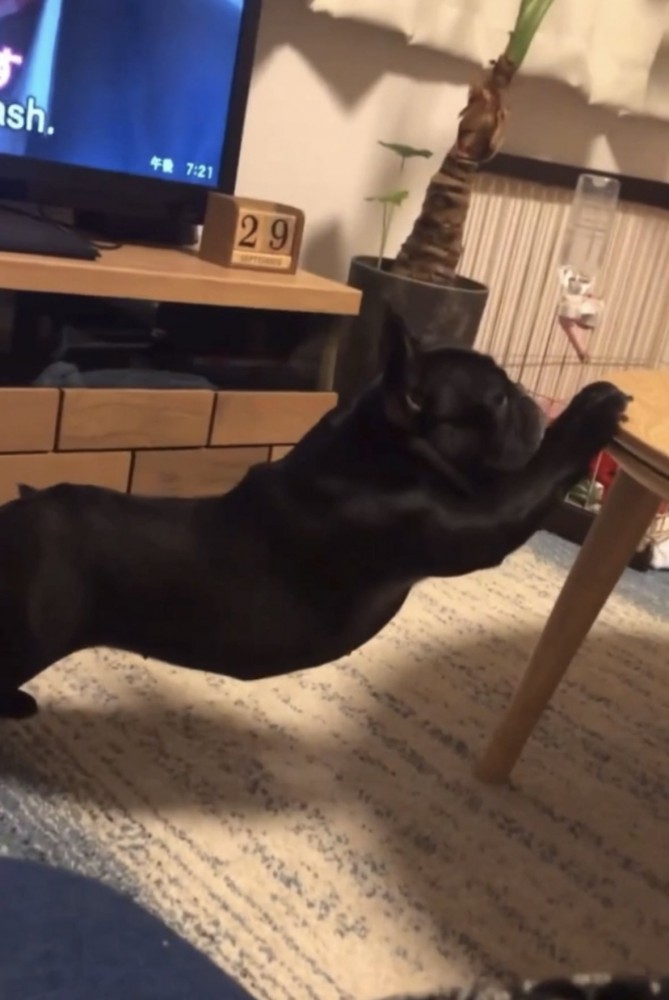 ストレッチ2