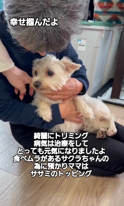 ペンションの看板犬になるよ♪