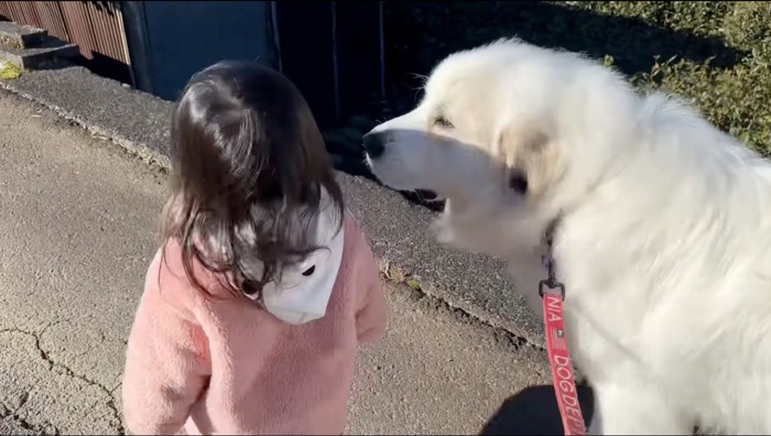 女の子に顔を近づける犬