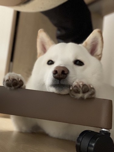 在宅