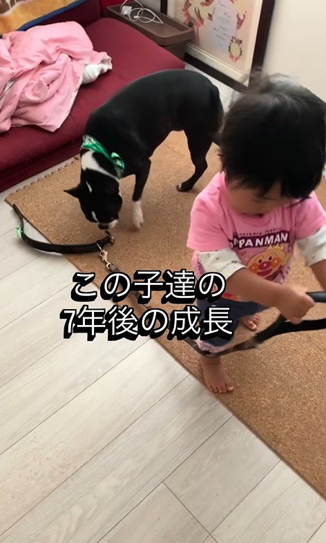 たま君と女の子の成長