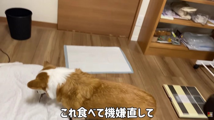 オヤツで気を紛らわす