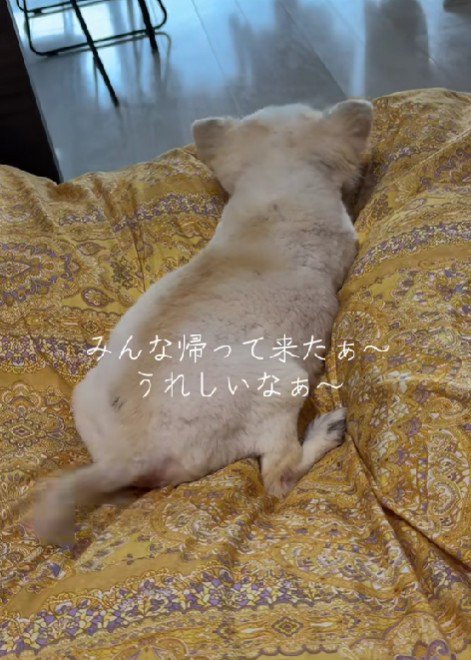 うれしくて尻尾をフリフリ