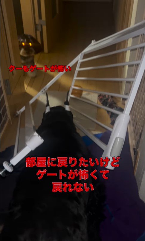 ゲートを破壊したリンツちゃん6