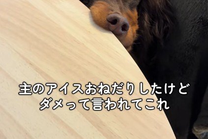 断られてしまって…