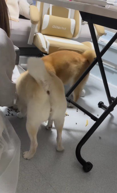 「キャー！」
