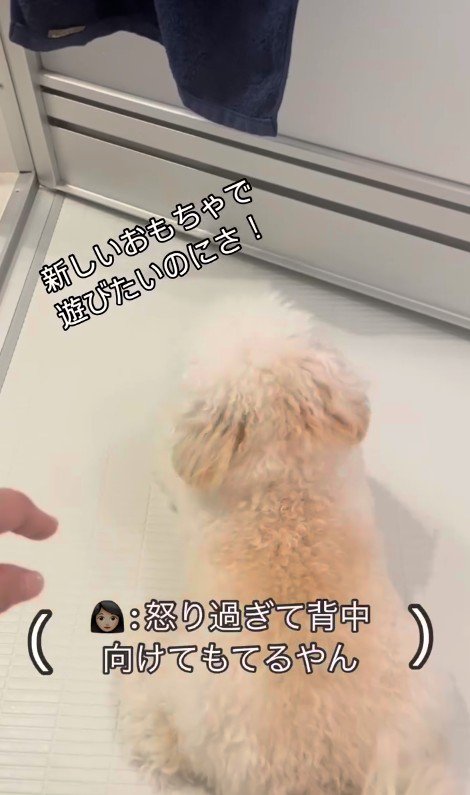 お風呂場に突撃するジジくん5