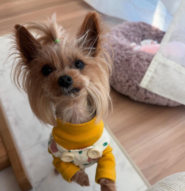 どんな姿も最高に可愛い♡