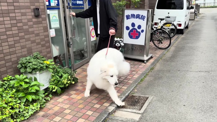 「やっぱり帰ります！」