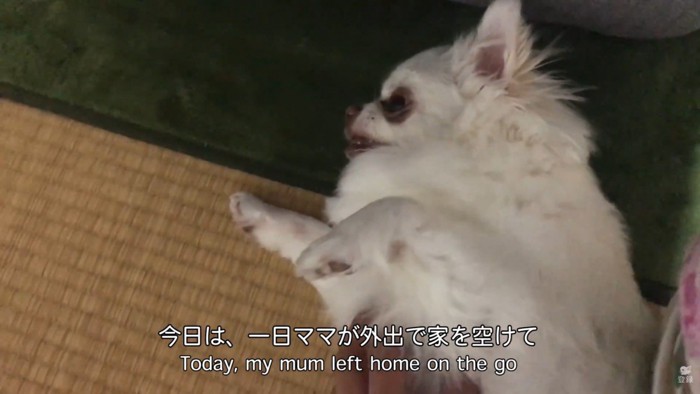 不機嫌丸出しの表情