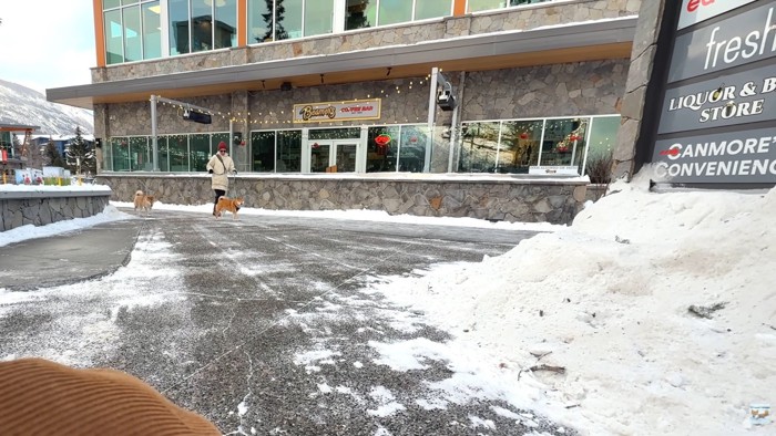 2匹の反応は…？