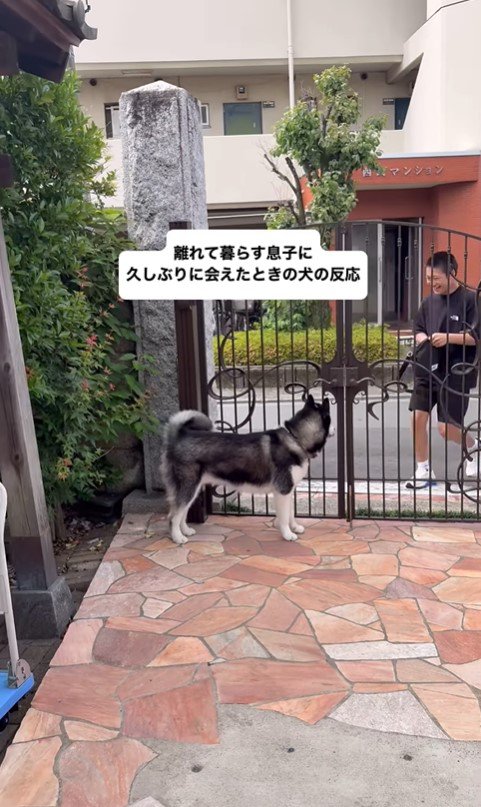 豆蔵くんとお兄ちゃんの再会2