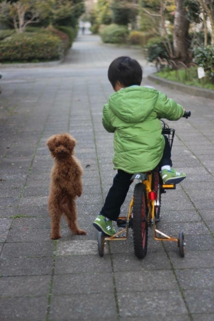 自転車に乗った子ども