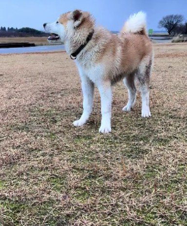 意外とスレンダーだった！？