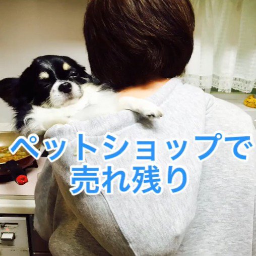 ちーちゃんとの出会い