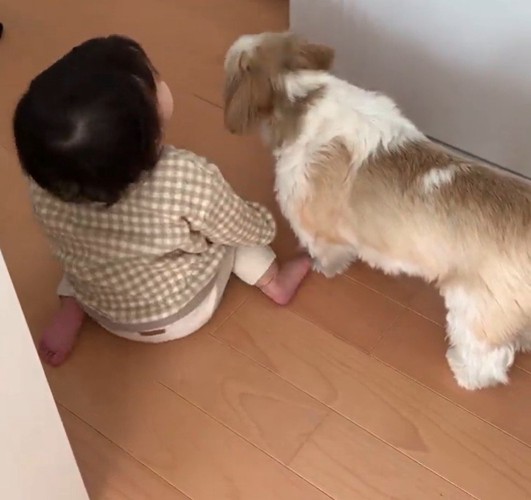 コロくんと赤ちゃんのシンクロ2