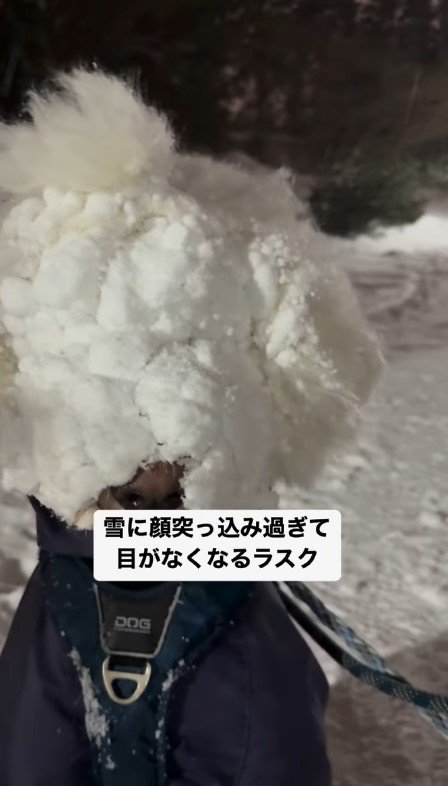 雪遊びをしていたら…