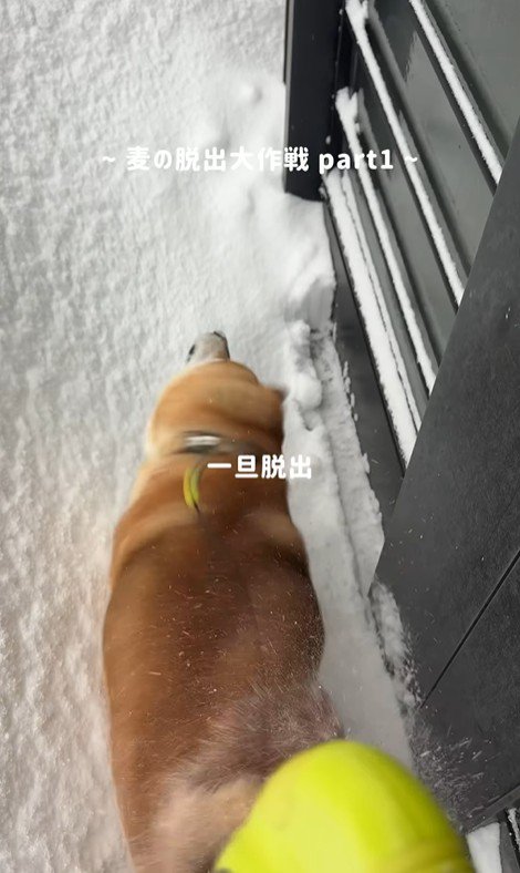 なんとか脱出成功