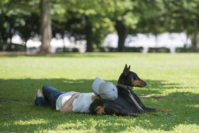 犬にもたれて昼寝をする女性