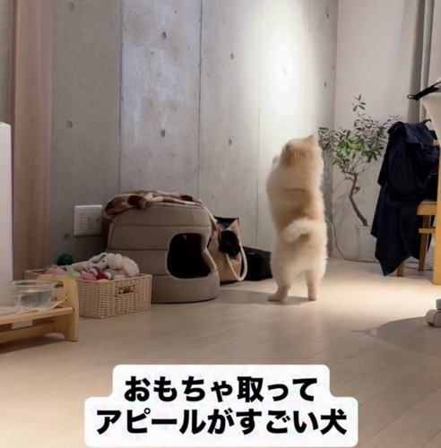 気持ちは行動で示します