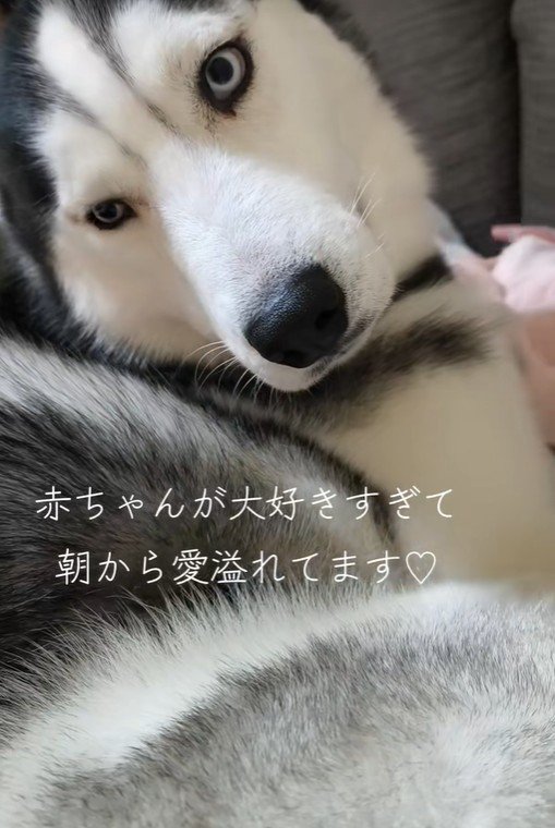 諭吉くんと赤ちゃん