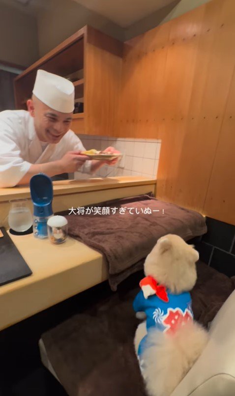 お店で食事するむぎくん5
