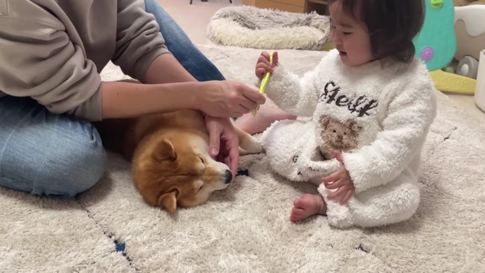 頑張るほのちゃん