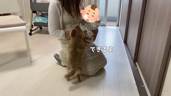 ハナちゃんと赤ちゃんの初対面5