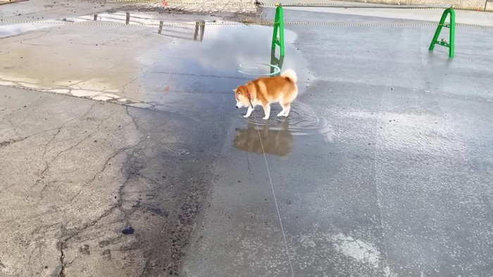 慎重に…慎重に…