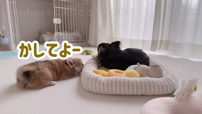 「やっぱり貸して!!」