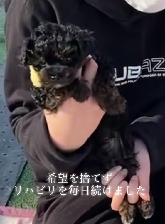 リハビリを開始！！