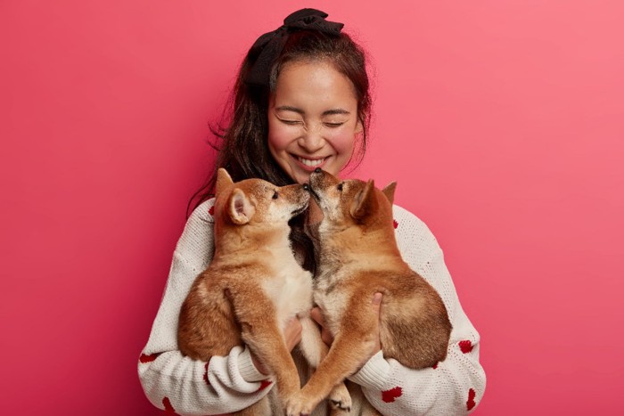 飼い主の口を嗅ぐ子犬たち