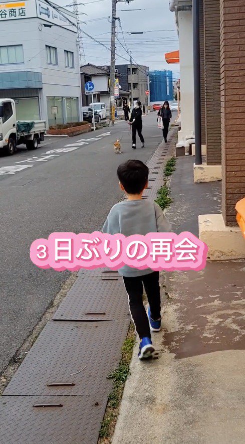 近づいていく犬と男の子