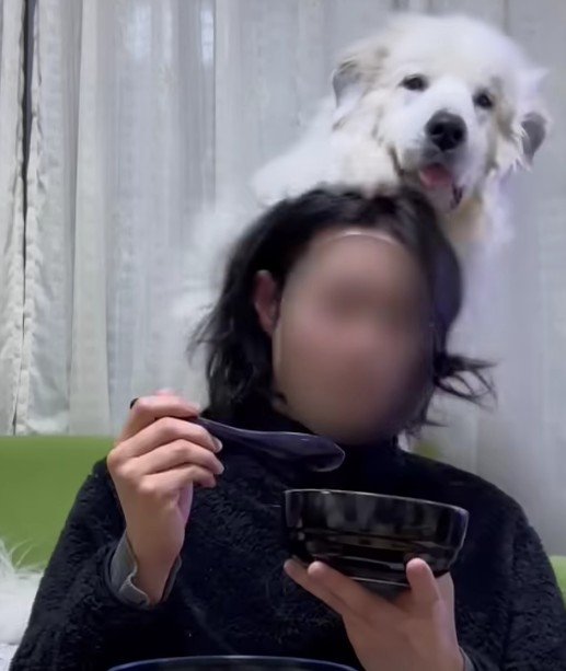 「私を見て！」