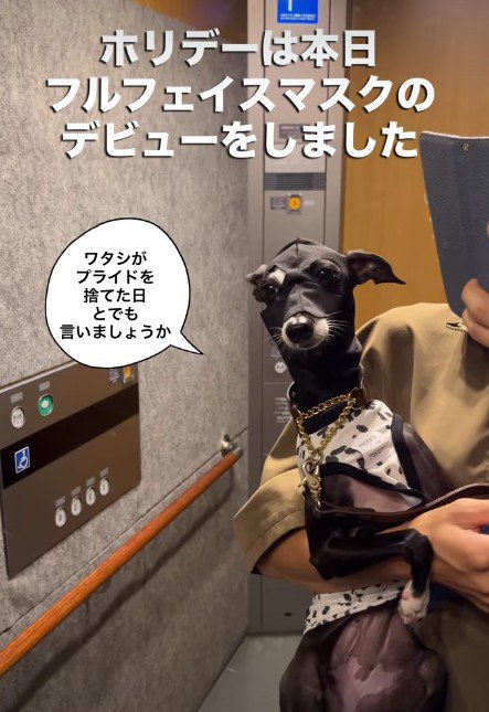 リングに上がるプロレスラーのよう