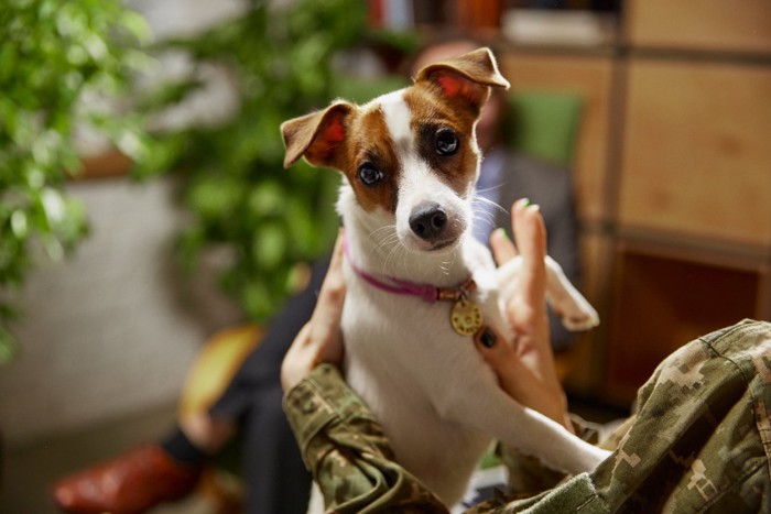 抱っこされ不安な表情の犬