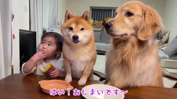 楽しい焼き芋パーティーでした