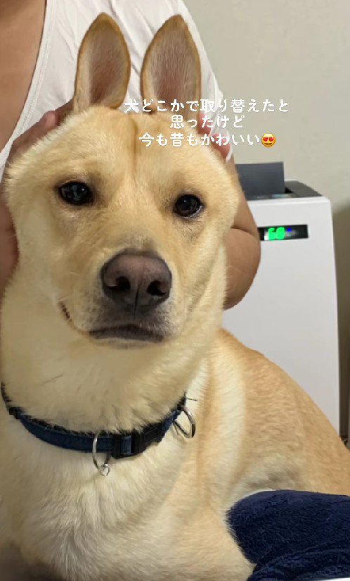 ダンディなわんこに♡