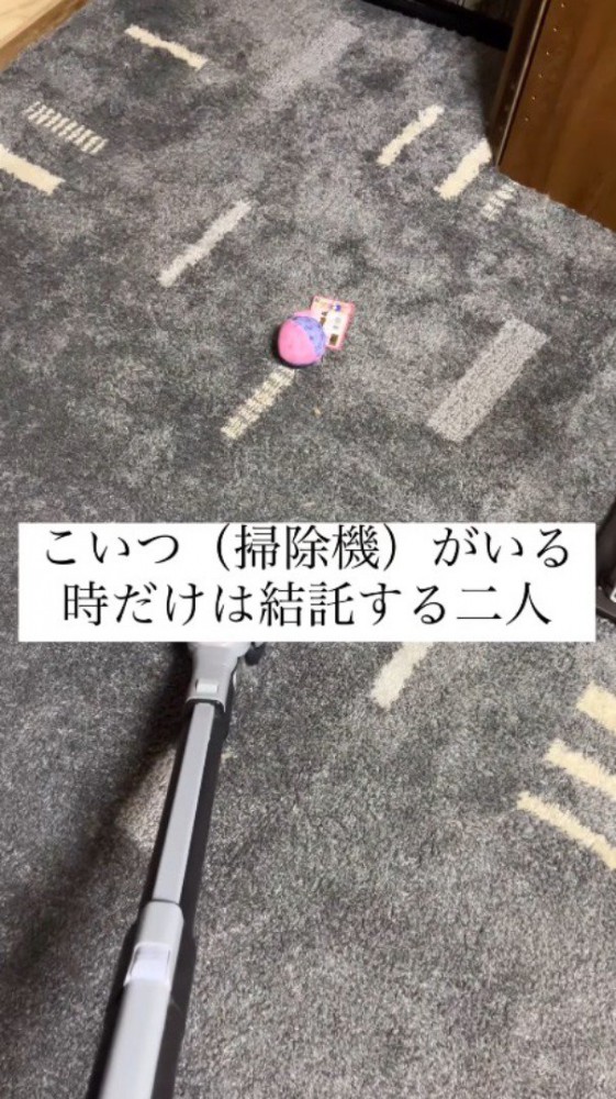 カーペットに掃除機をかける投稿者