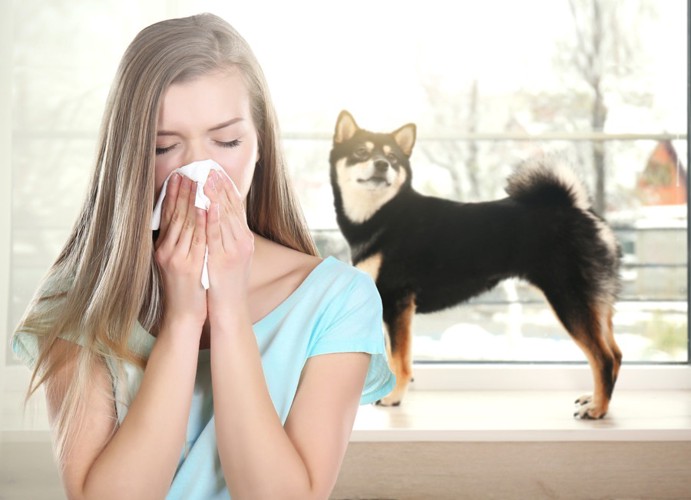 犬の前で鼻をかむ女性