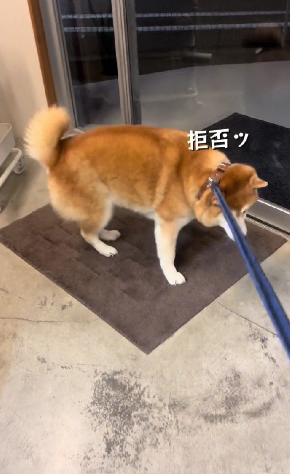 「絶対にイヤだ」