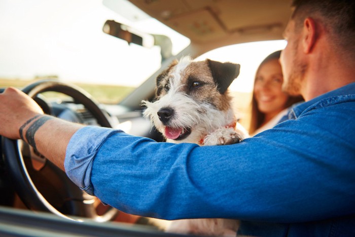 犬を抱っこして運転する男性