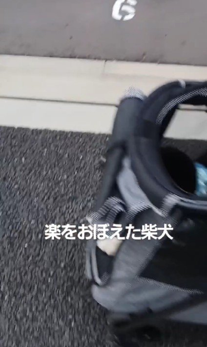 こんな日もアリ！