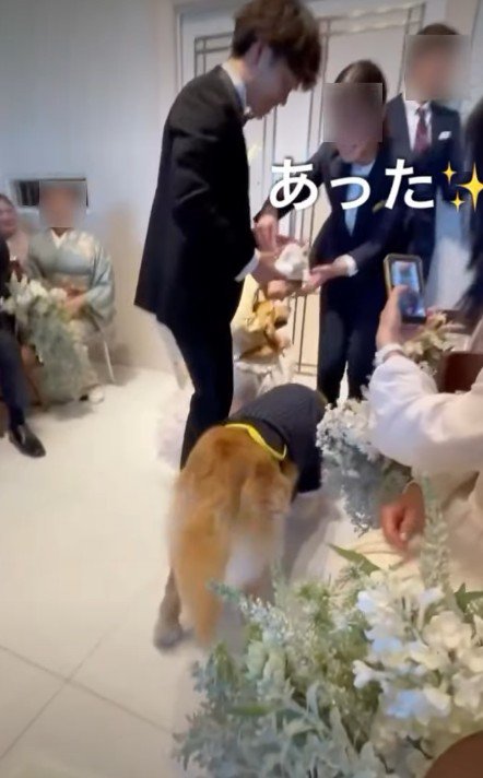今度はリングを探すはめに