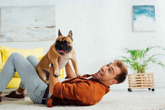 楽しそうに戯れる犬と男性