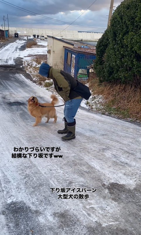 凍った坂を下るじろ君と飼い主さん5