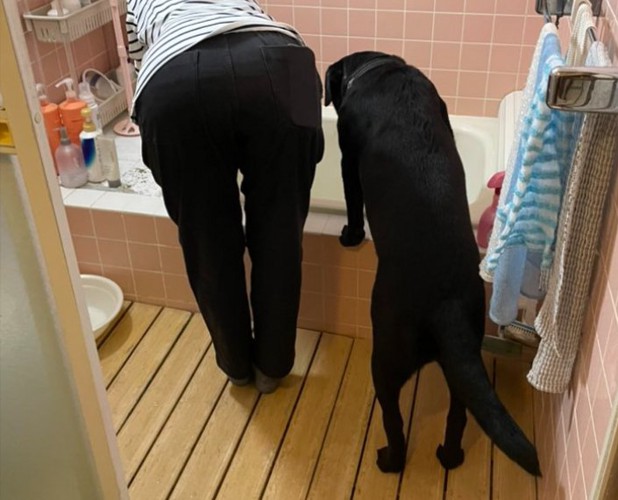飼い主