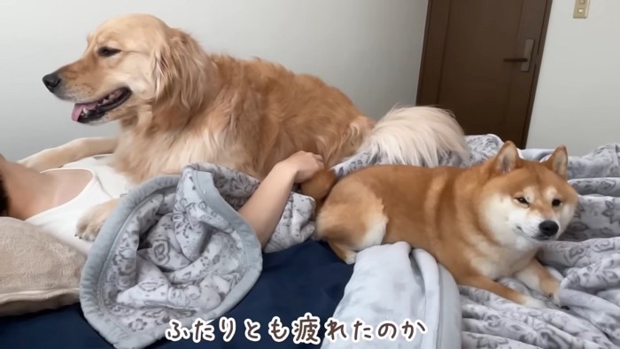 眠くなってきちゃった！？